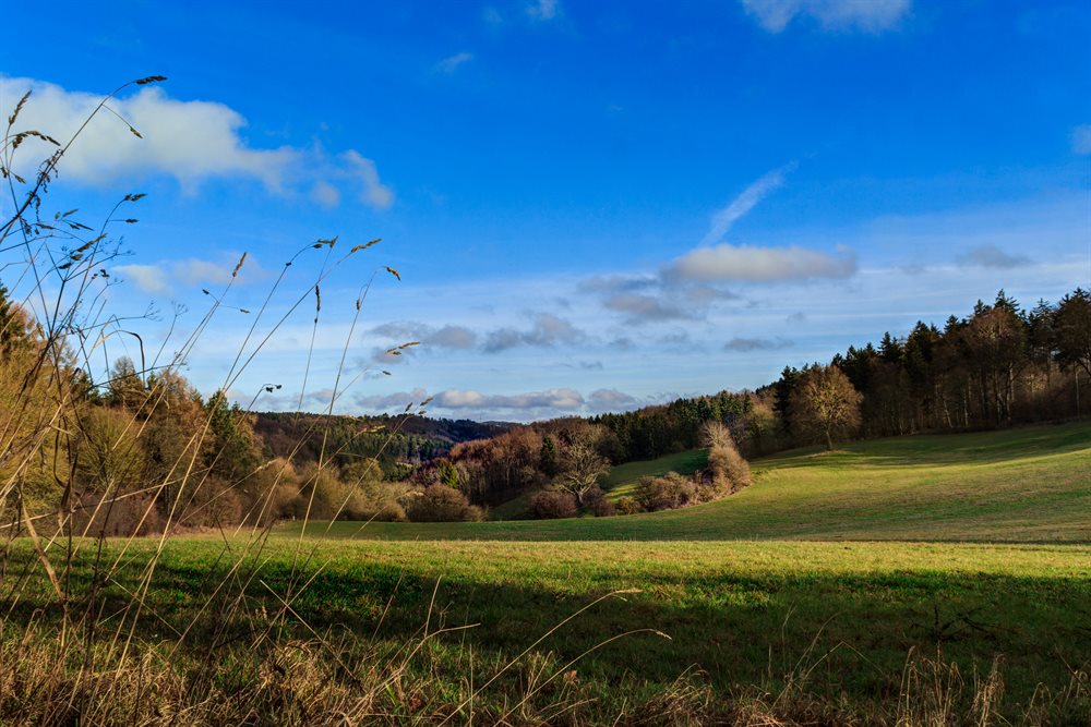 3 dagen weg rijnland palts eifel