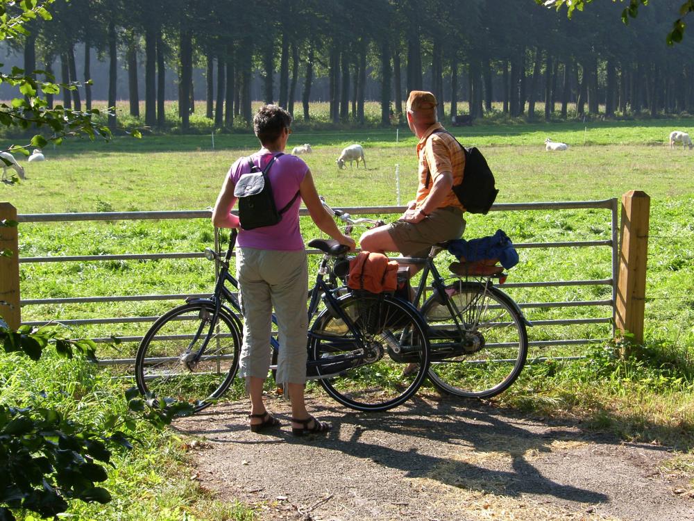 Fietsers167
