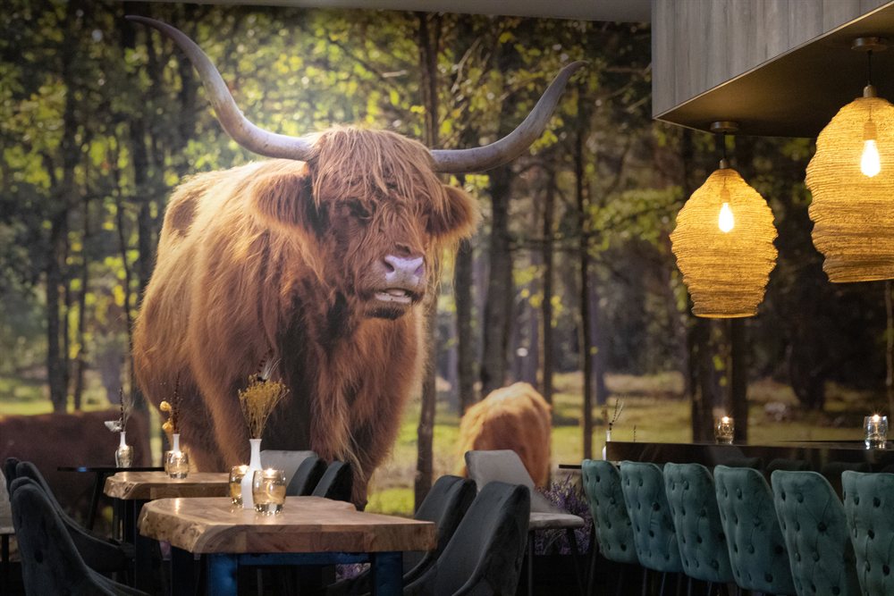 last minute hotel gelderland
