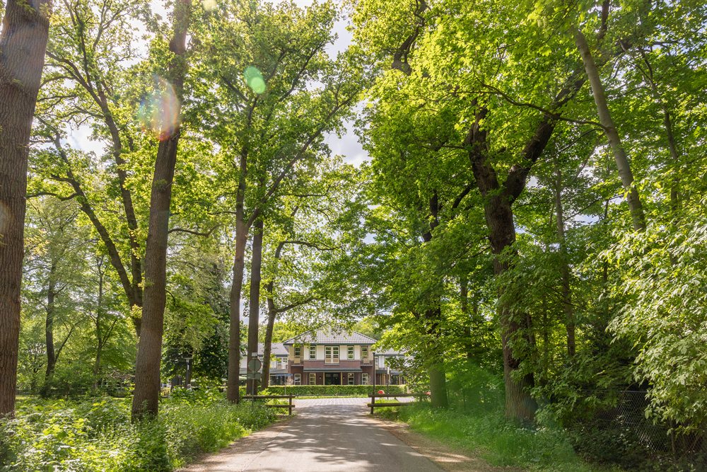 hotel arrangementen hotel oranjewoud friesland oranjewoud