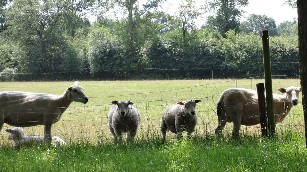 drents friese wold uitje nederland landhotel diever diever