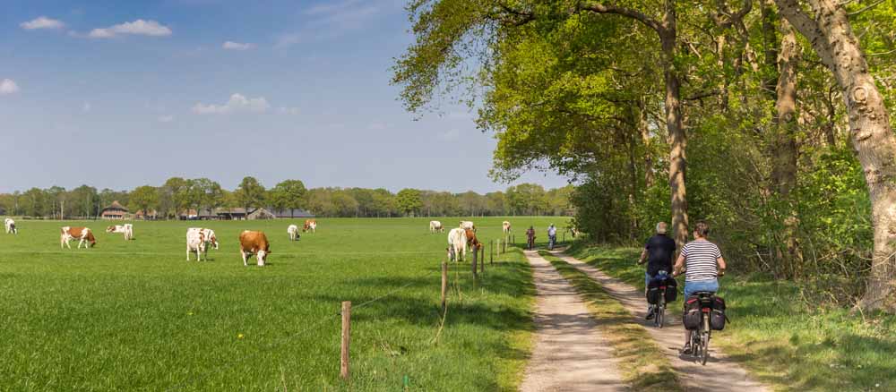 fietsarrangement resort bad boekelo hotelaanbieding