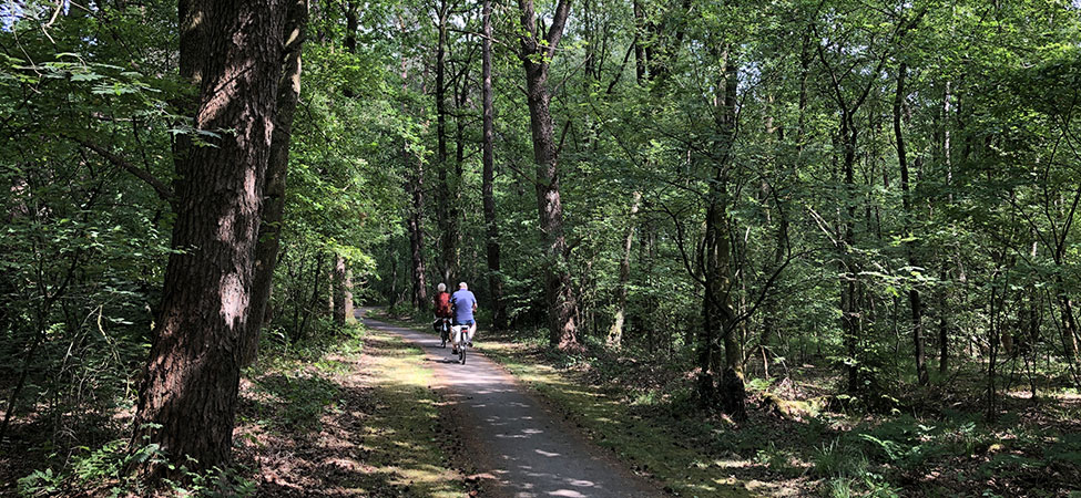 fietsen in het vechtdal
