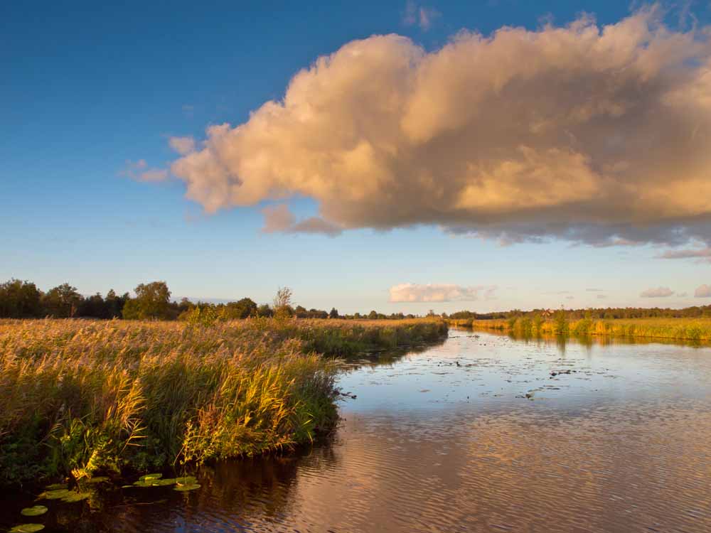 weerribben wieden