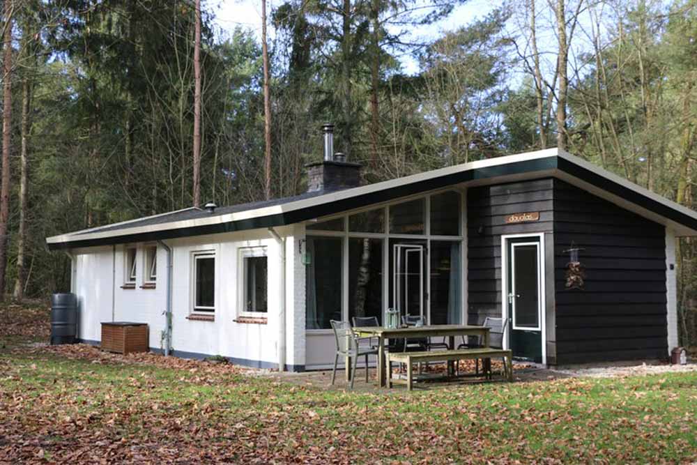4 persoons bungalow douglas
